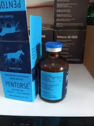 PENTORSE 250MG/ML INJ.50ML