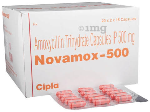 NOVAMOX 500MG